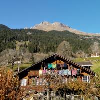 Schwendi-Grindelwald-Schweiz